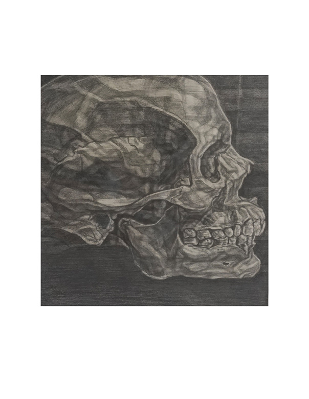 Untitled (Skull) by Anthony Caropino Corbett